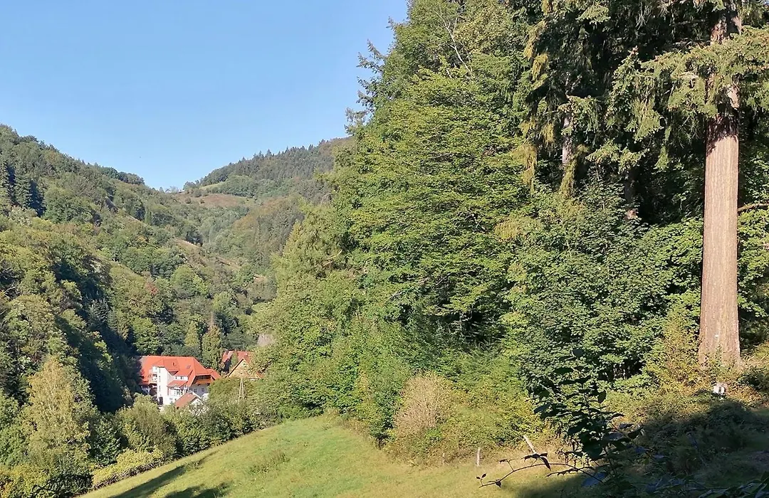 Huberhof Pfaffenbach-1